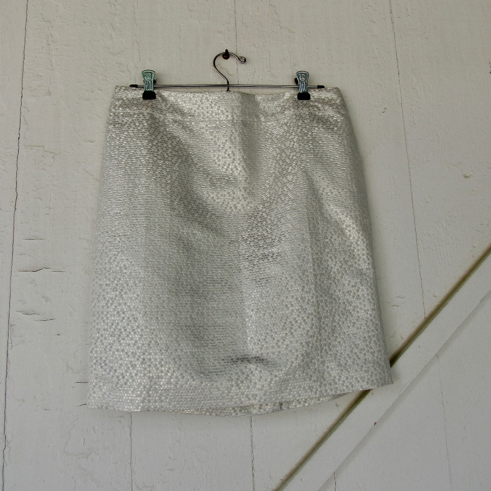 The Loft Metallic Skirt